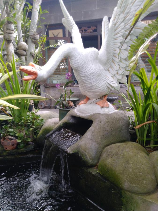Dani Wisma tamu Ubud (Bali)